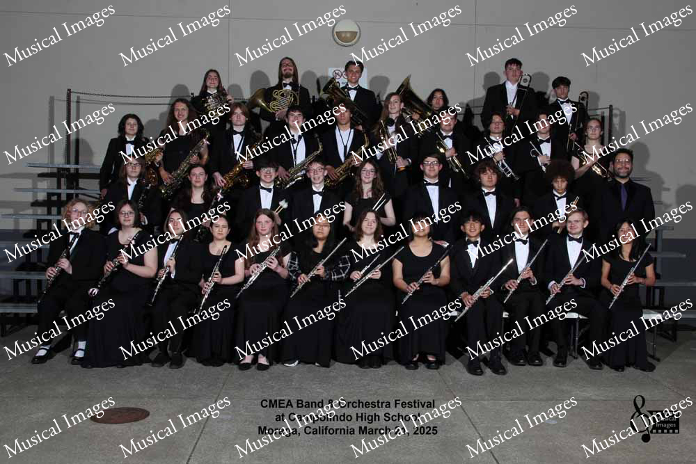 Musical Images